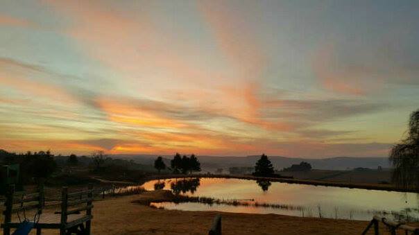 Dullstroom Bird of Prey & Rehabilitation Centre