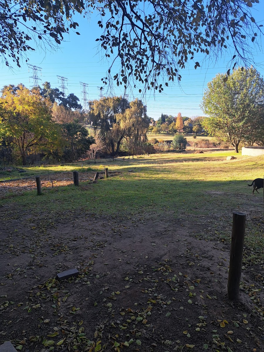 geniUS Dog Park Bordeaux