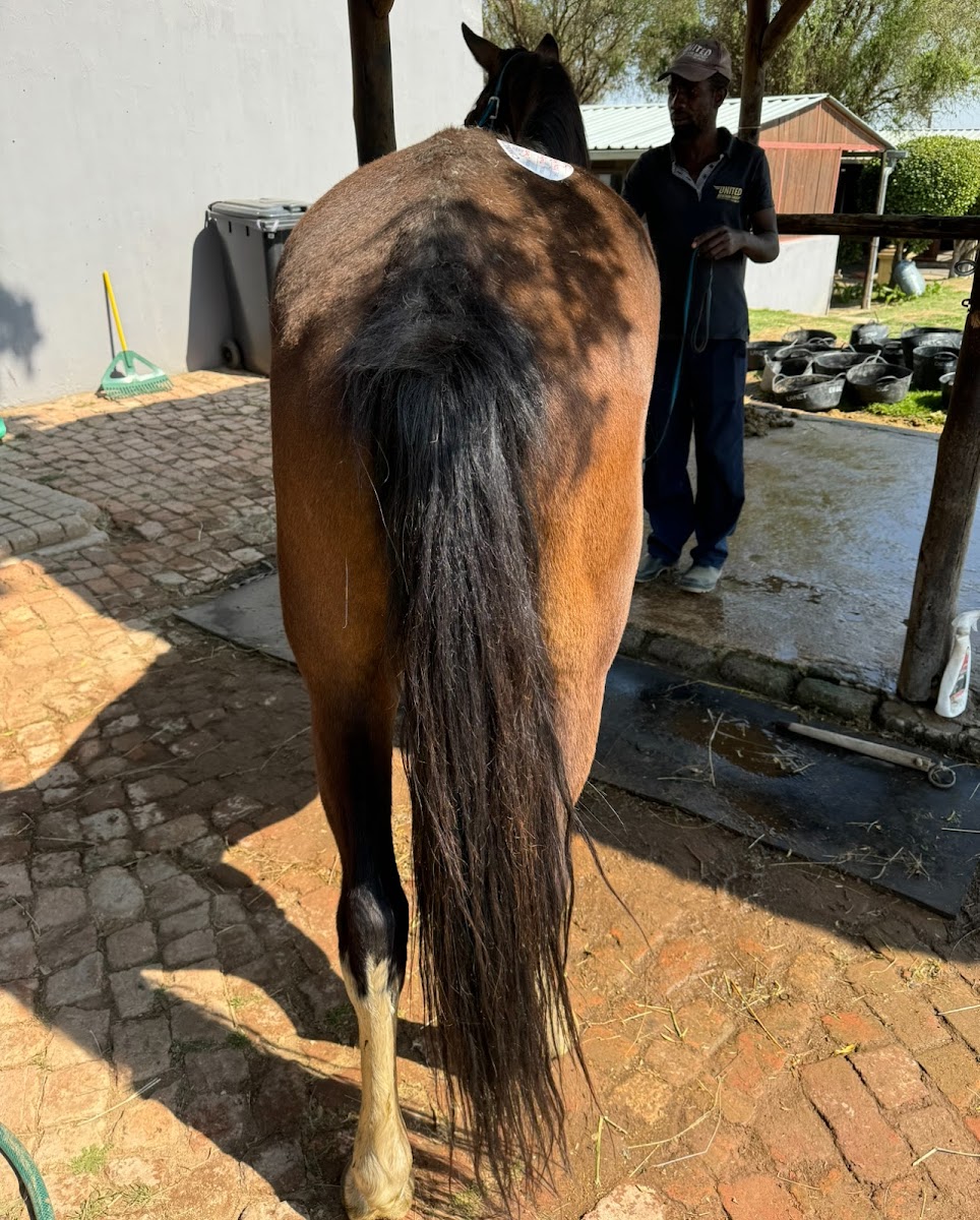 Plett Valley Veterinary Clinic