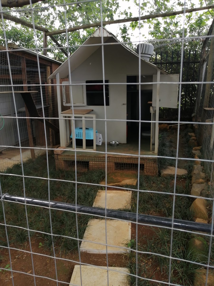 Feline Fun Cattery