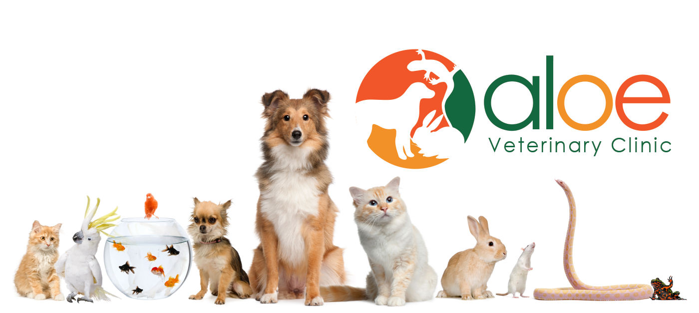 Aloe Veterinary Clinic