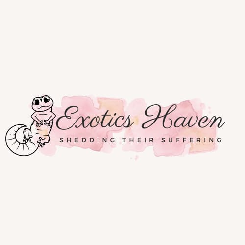 Exotics Haven