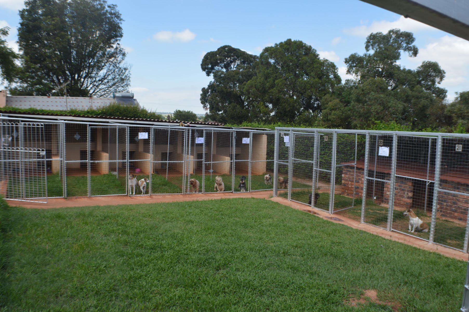 His and Hers Kennels and Cattery