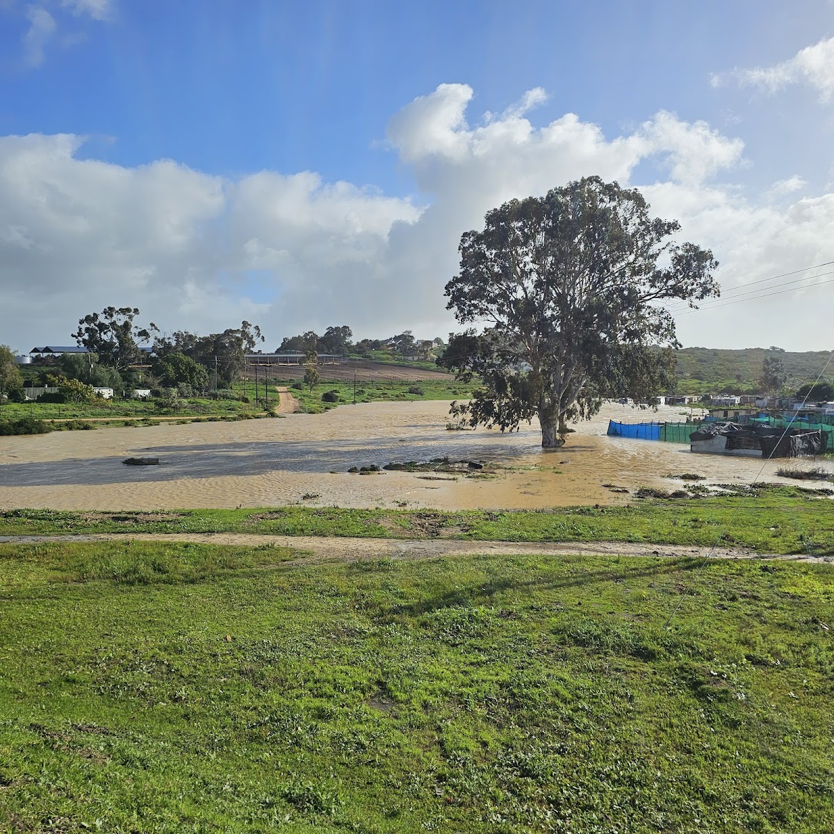 Klipheuwel Road Kennels and Cattery