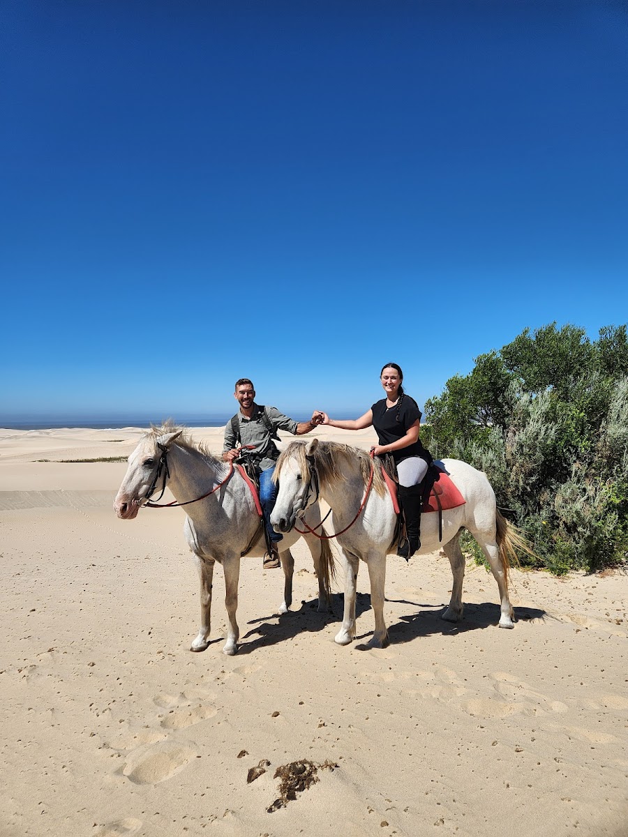 Papiesfontein Beach Horse Rides