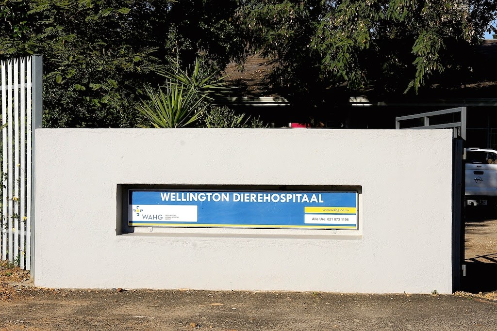 Wellington Animal Hospital
