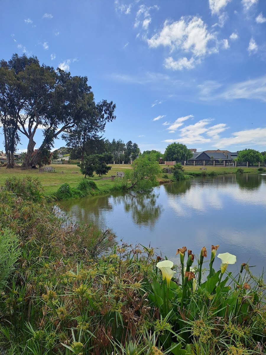 Boland Dam Park