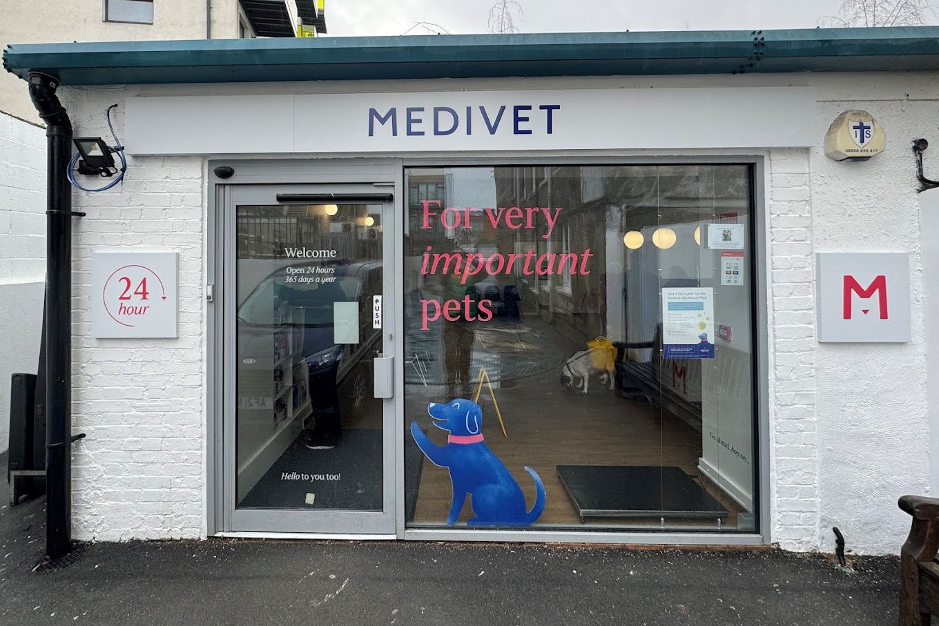 Medivet 24 Hour Camberwell - The London Animal Hospital