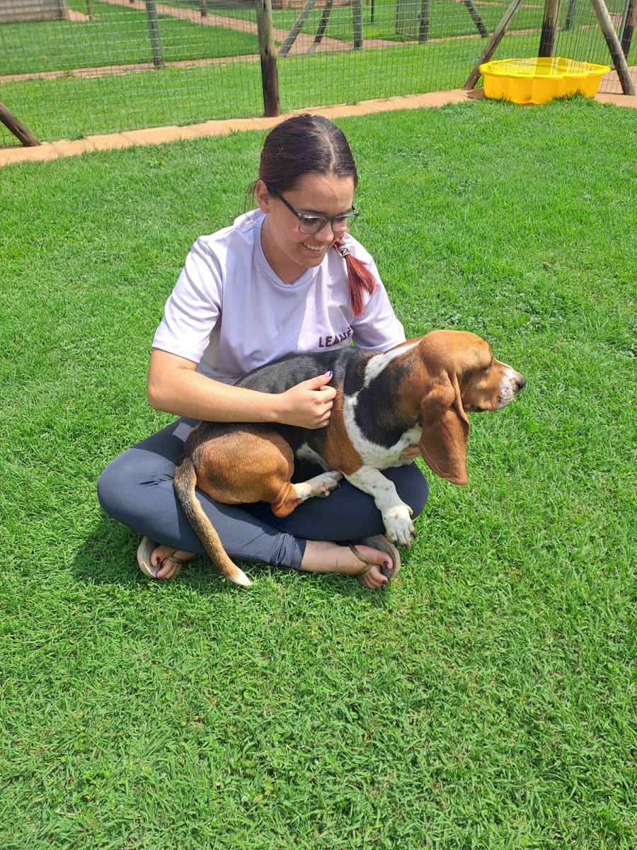 Vaal Pet Boarding Lodge