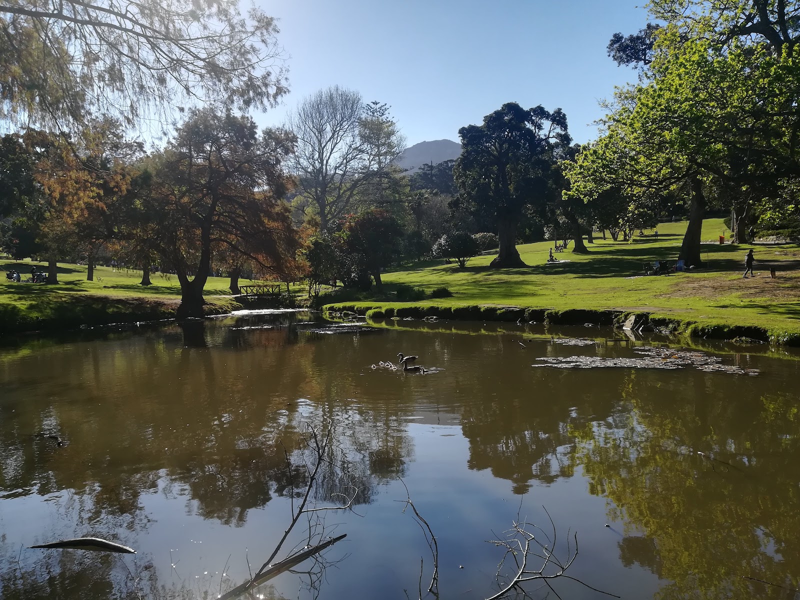 Wynberg Park