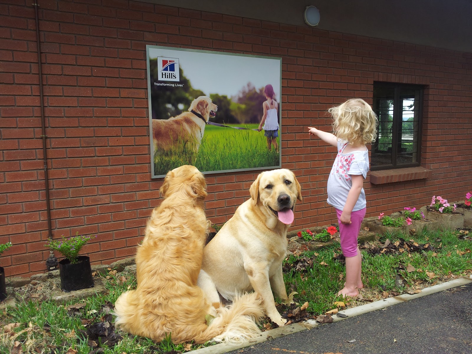 Athlone Veterinary Clinic