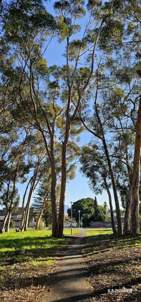 Jan Cilliers Park