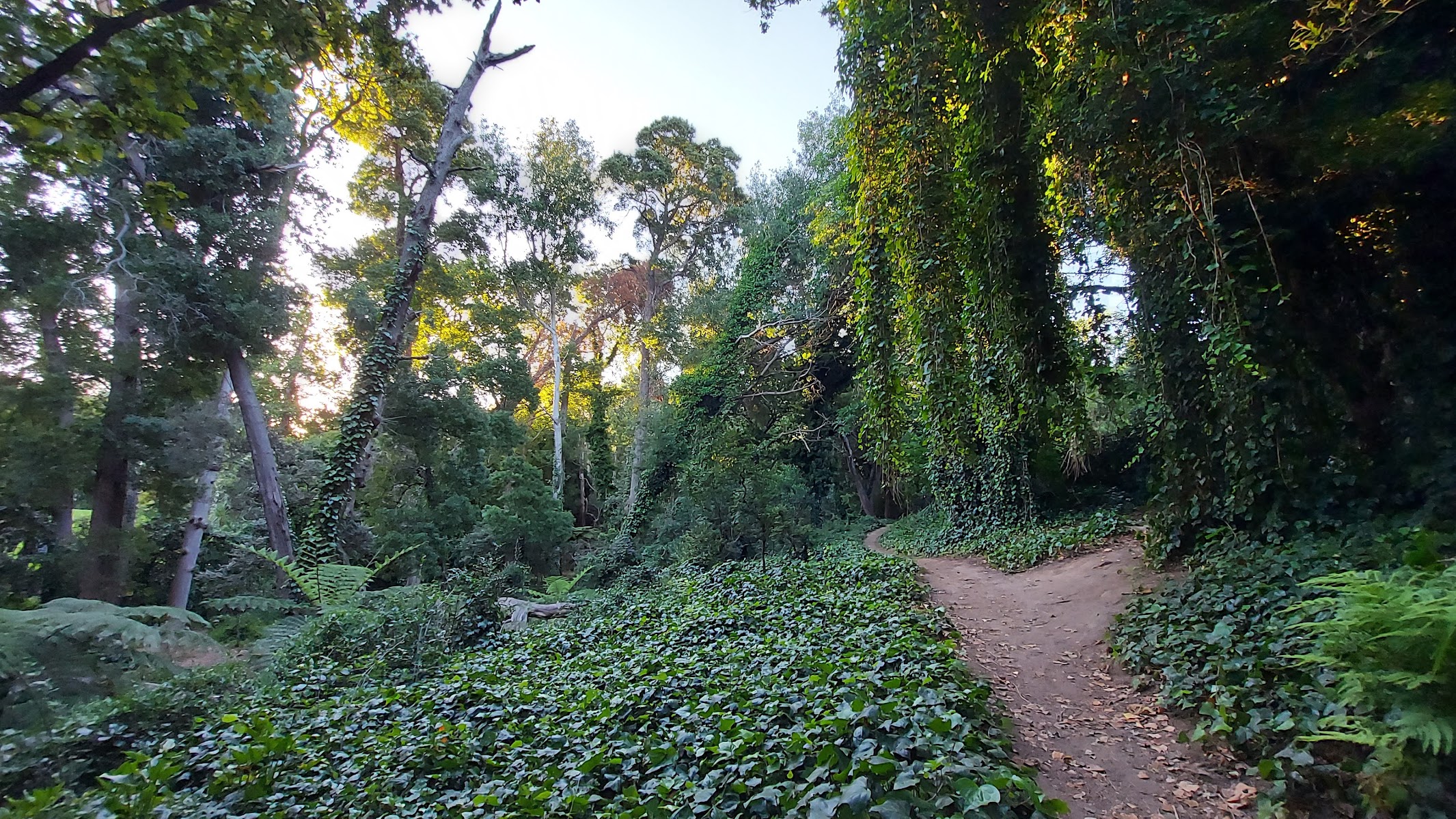 Klaasenbosch Greenbelt Trail