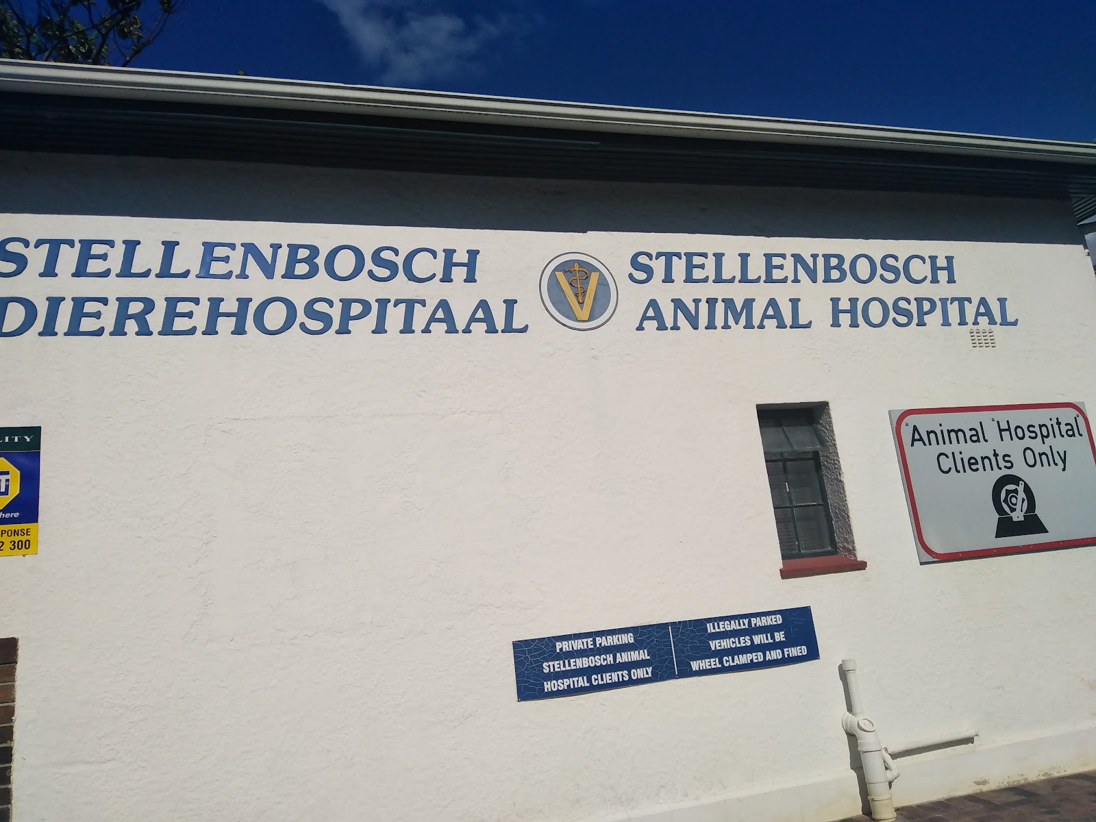 Stellenbosch Animal Hospital