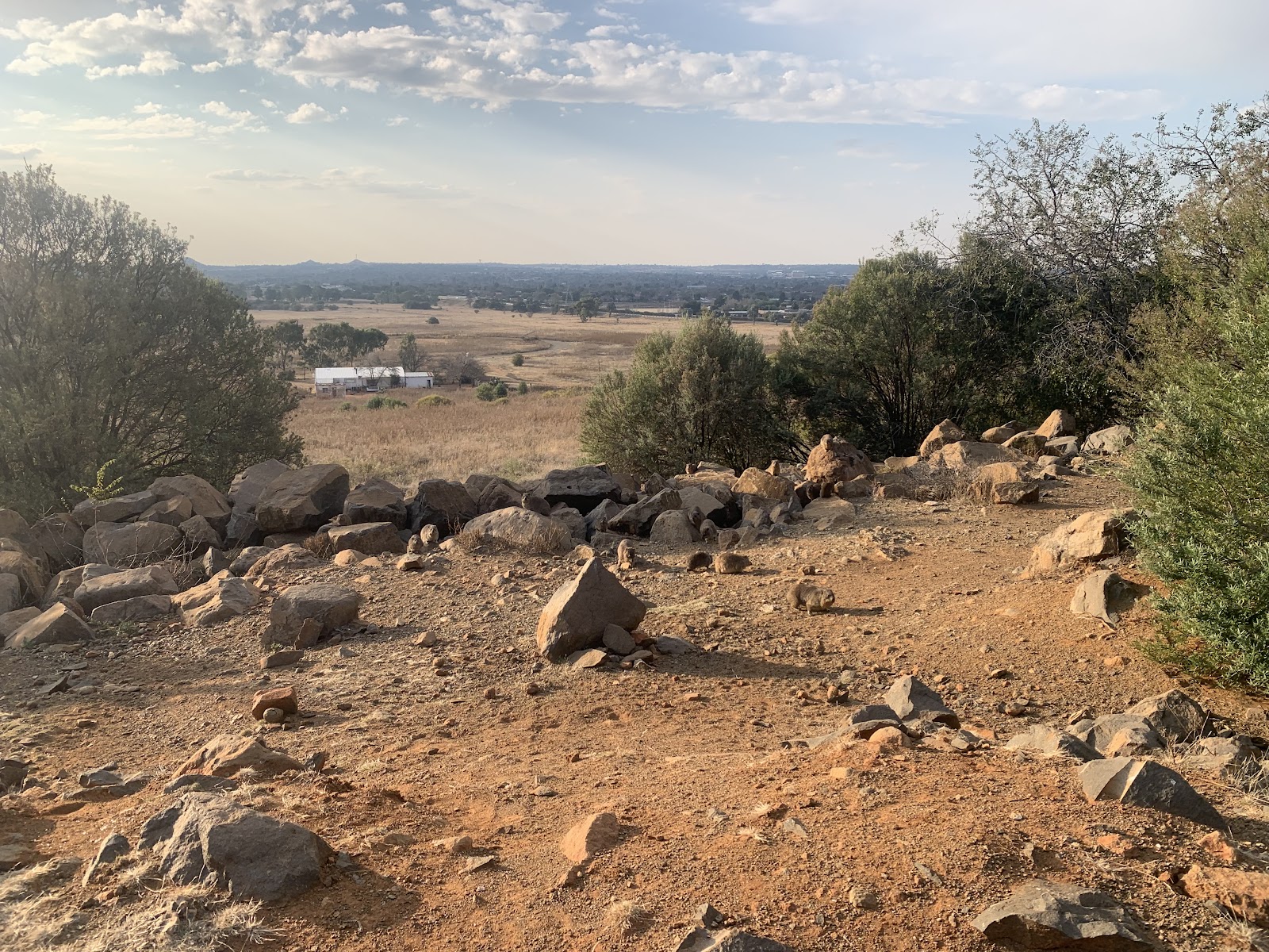 Brandkop Conservancy