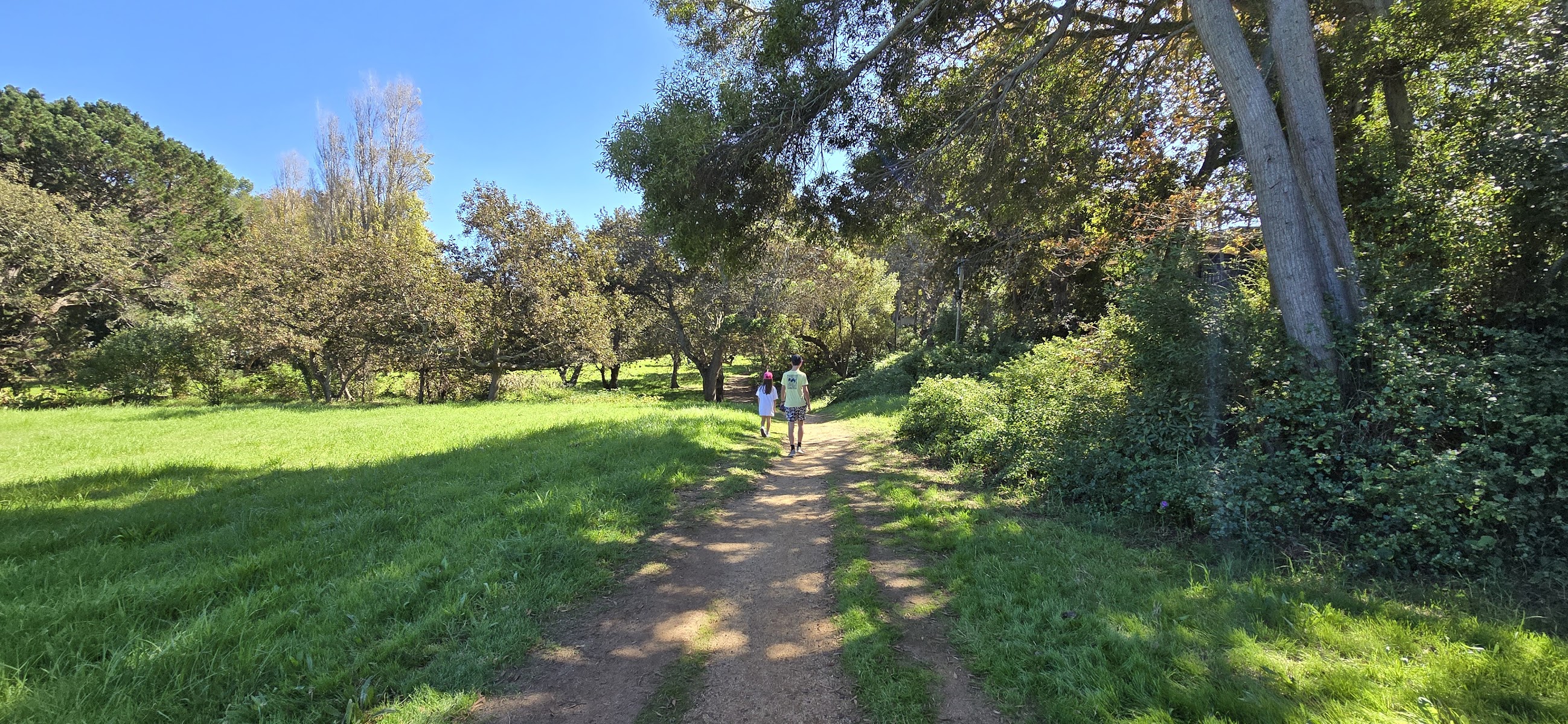 Silverhurst Trail