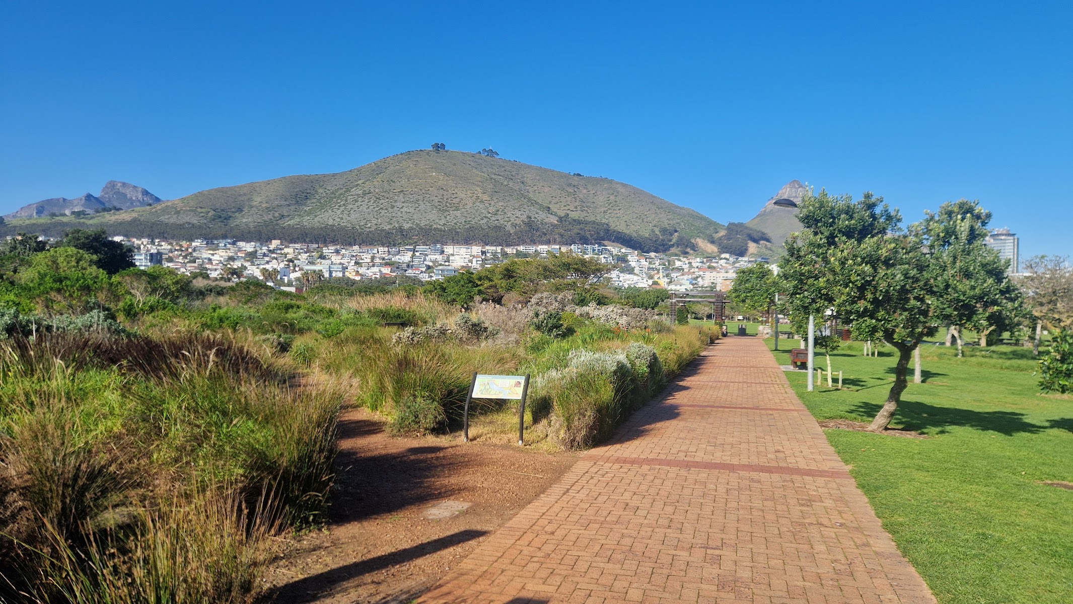 Sea Point Promenade