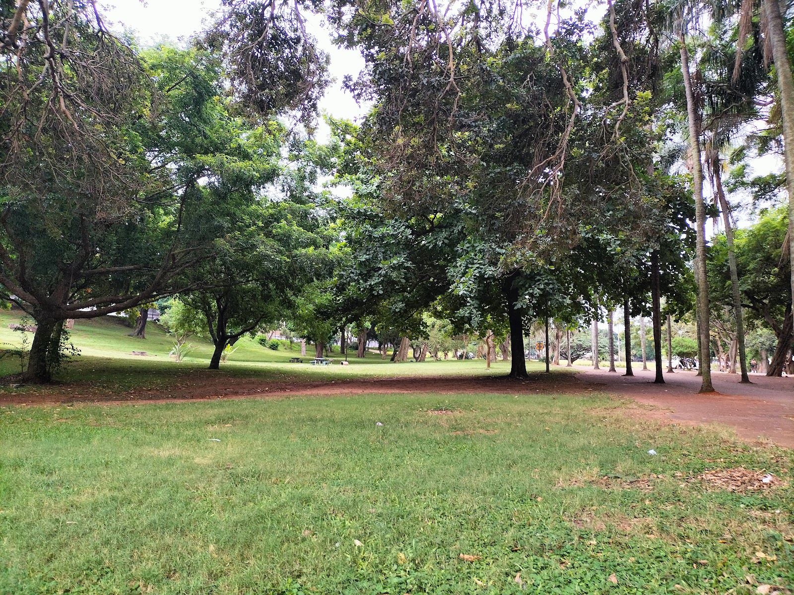 Berea Park