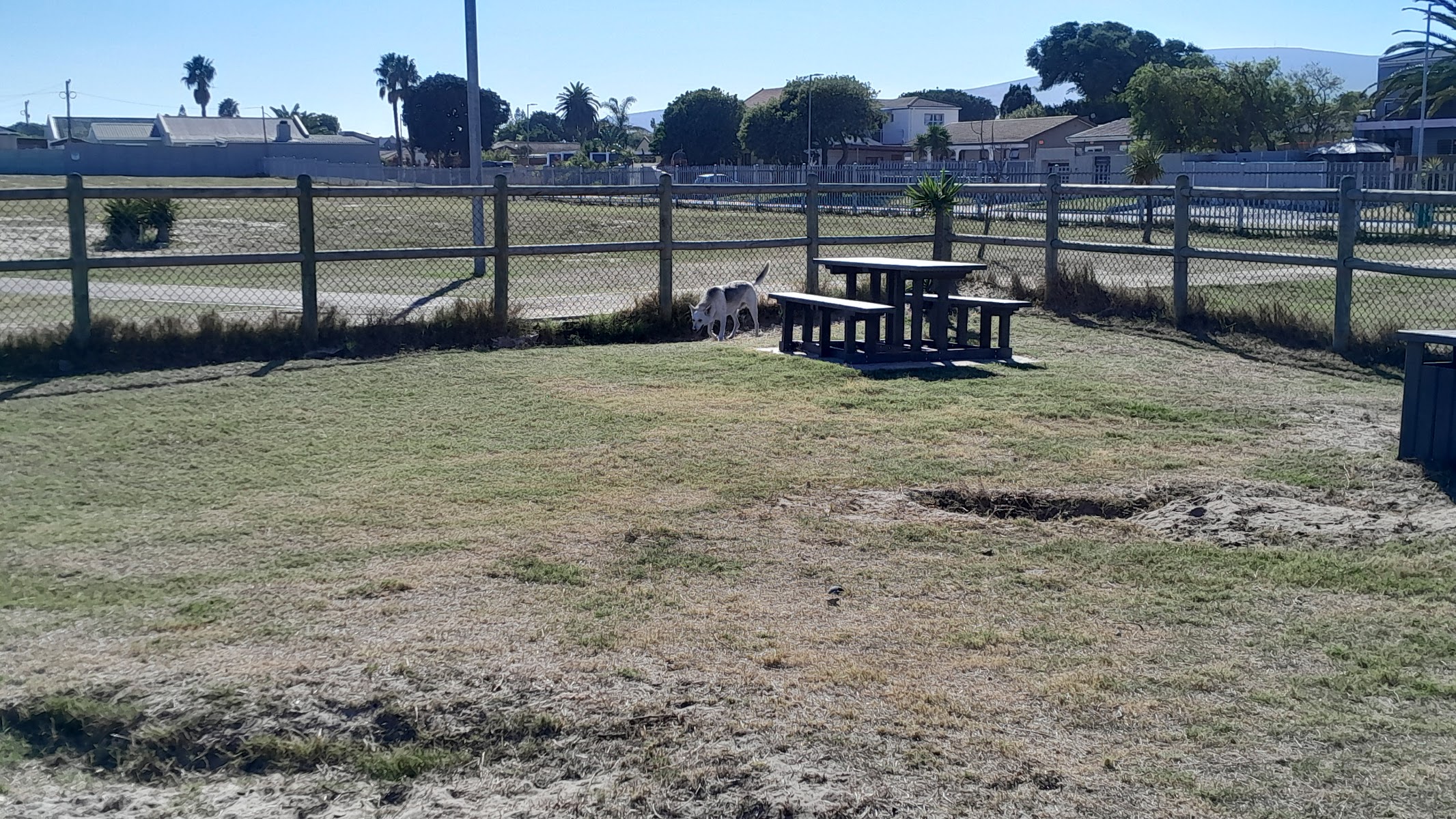 Adam Tas Dog Park