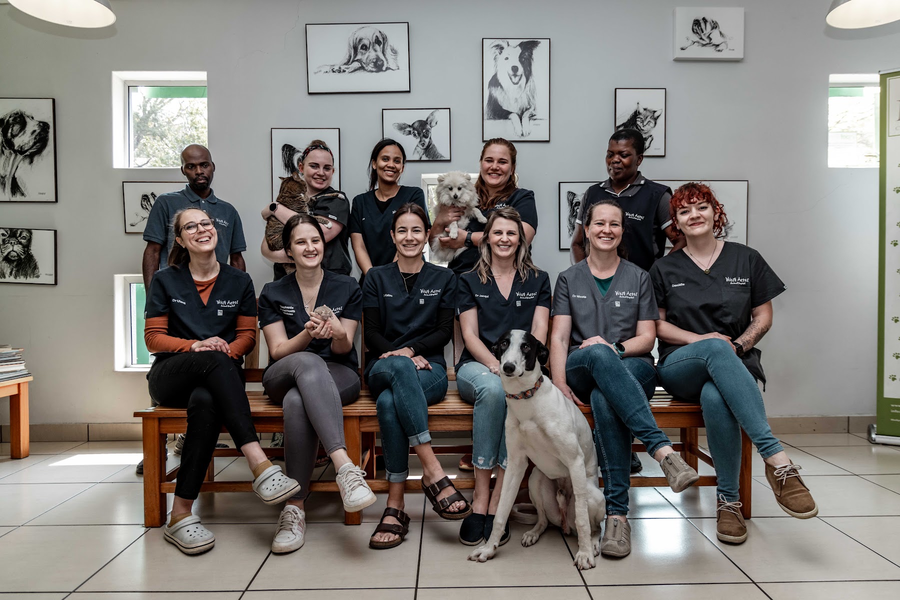 West Acres Animal Hospital