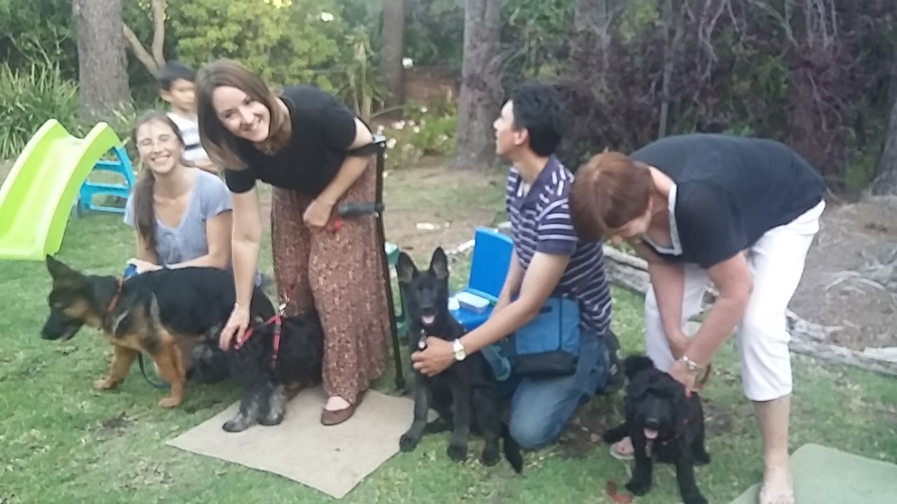 Rose's Puppy School