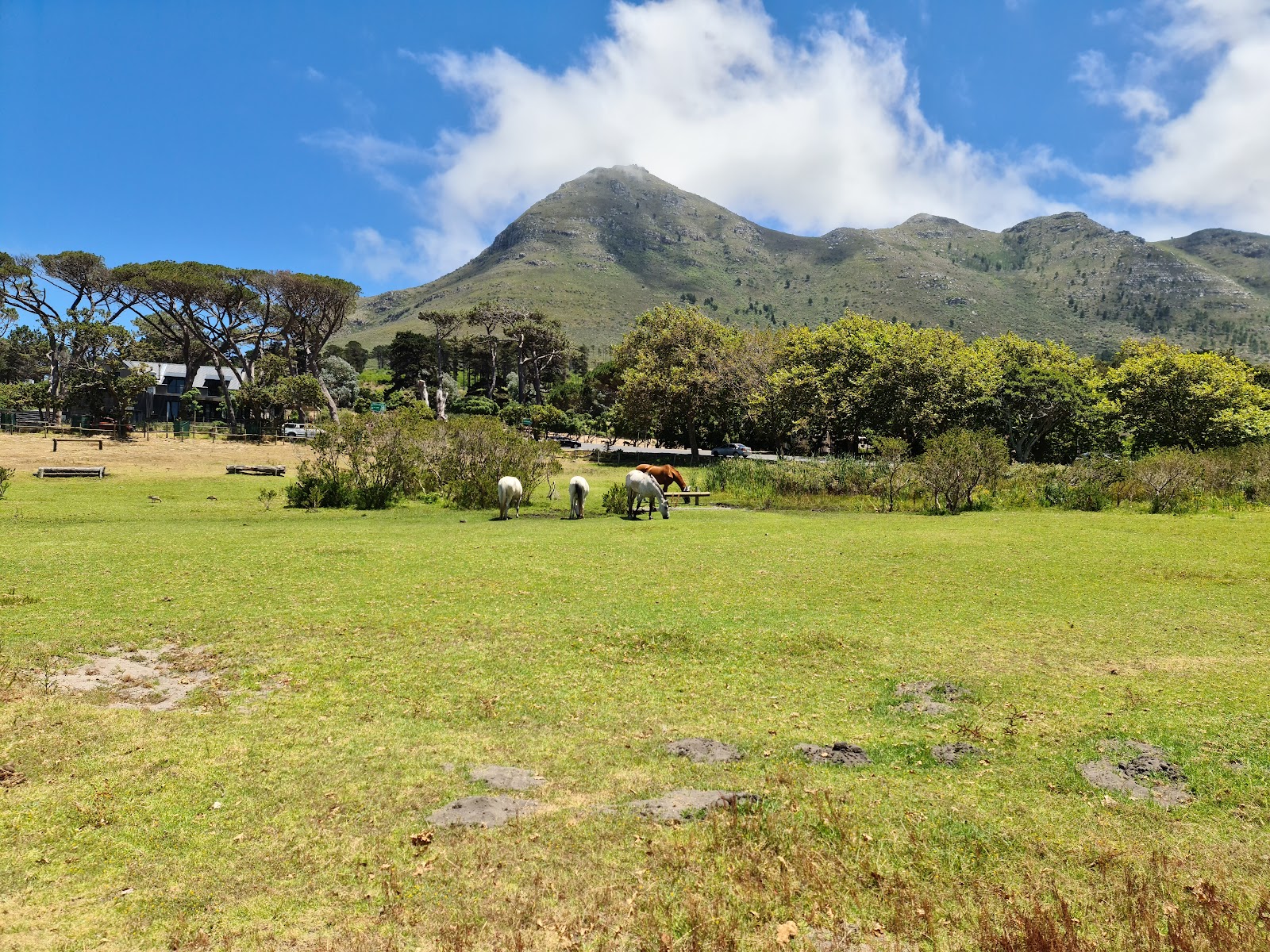 Noordhoek Common