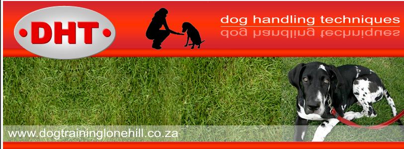 Dog handling techniques