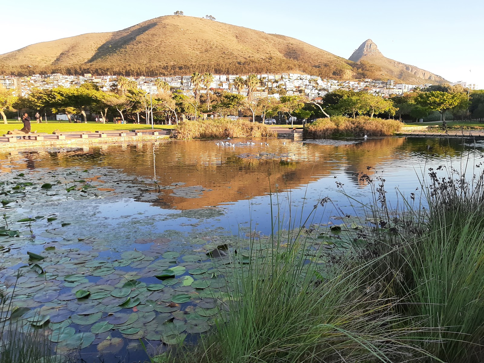 Green Point Park - Park Road Gate