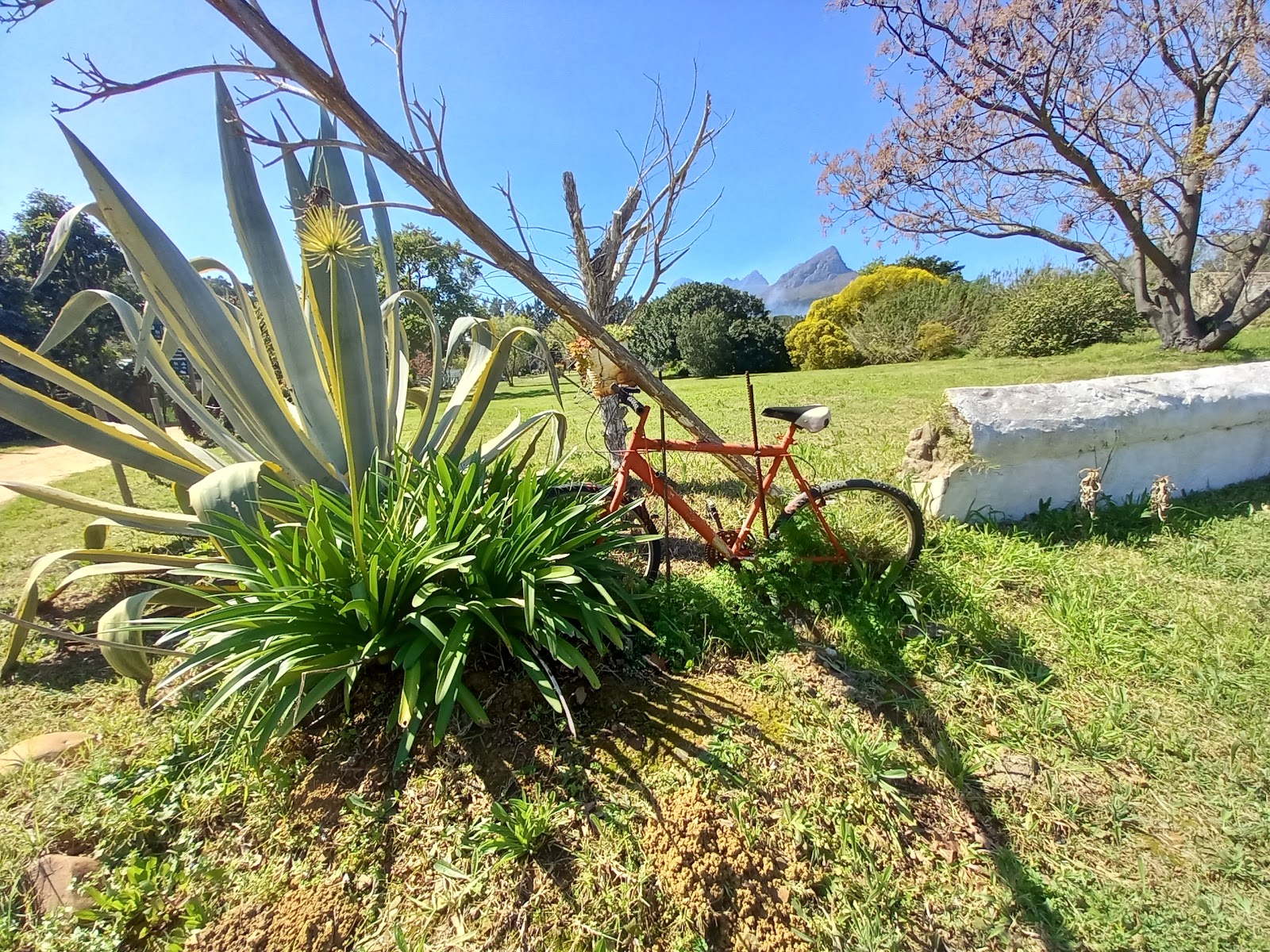 Helderberg Farm