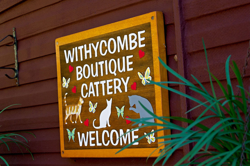 Withycombe Boutique Boarding Cattery