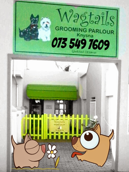 wagtails pet groomers