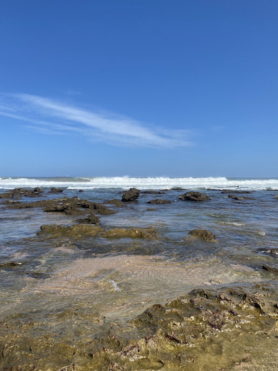 Garvies Beach