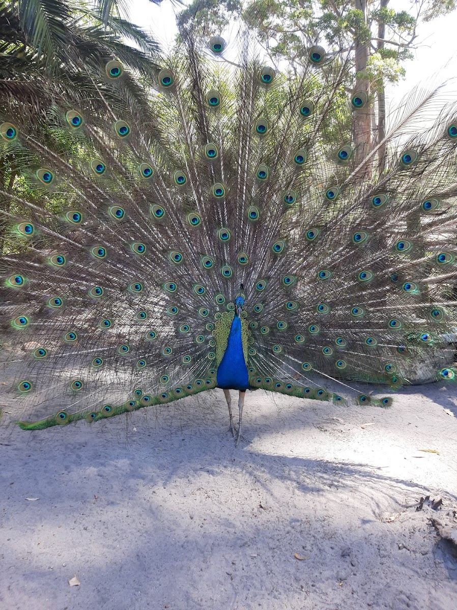 Rocklands Petting Farm