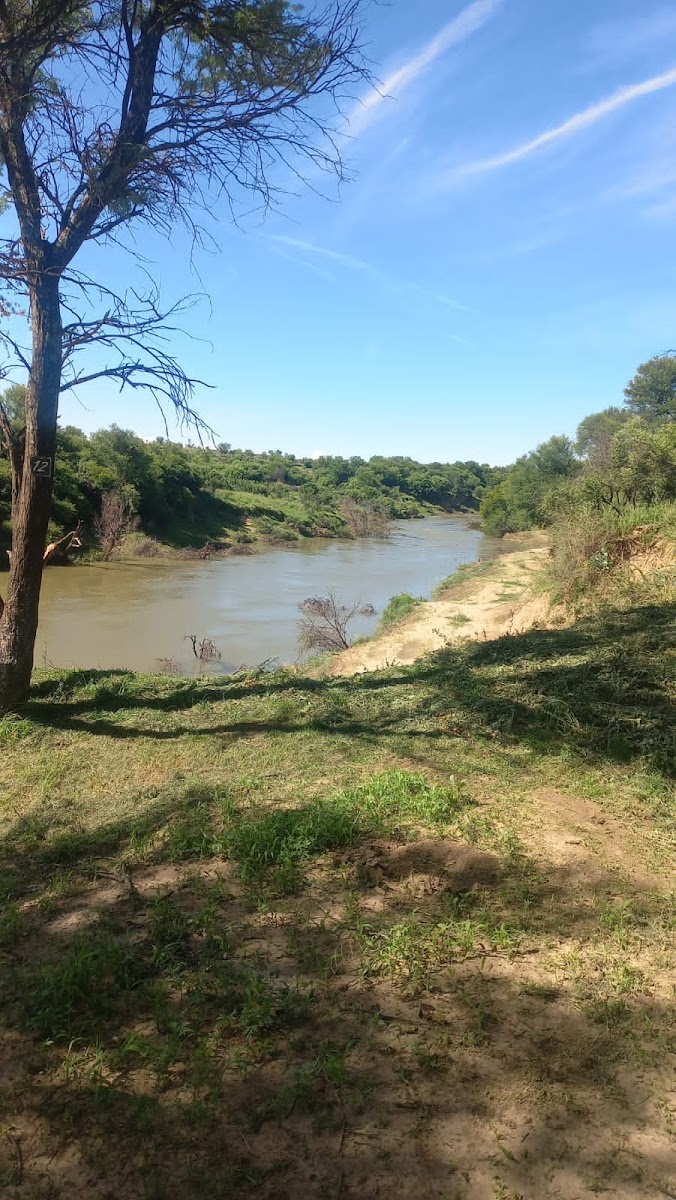 Visarend Kampterrein Bloemfontein