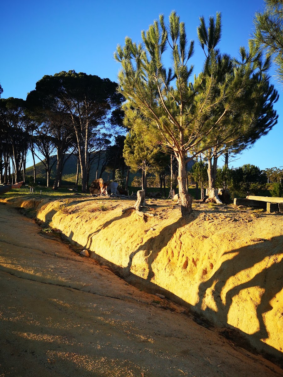 Coetzenburg Mountain Bike Trails