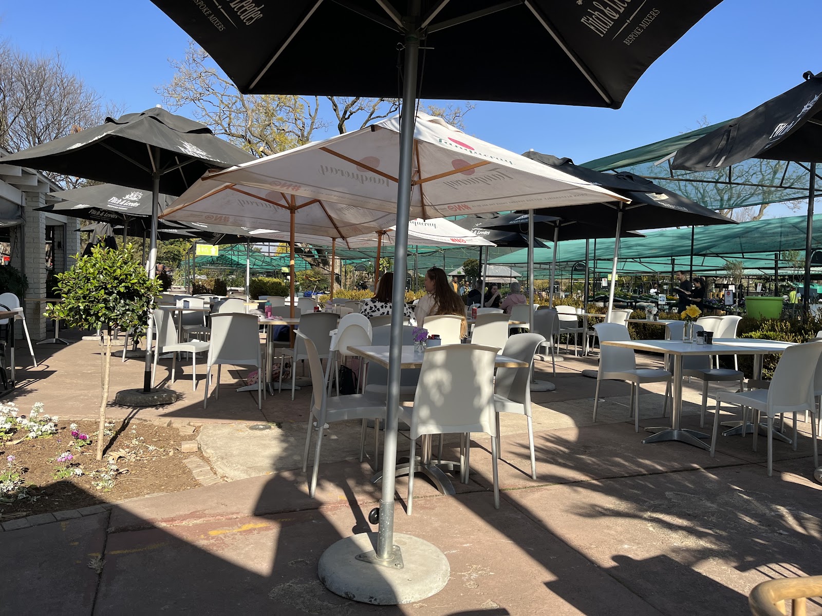 munch Cafe Bryanston