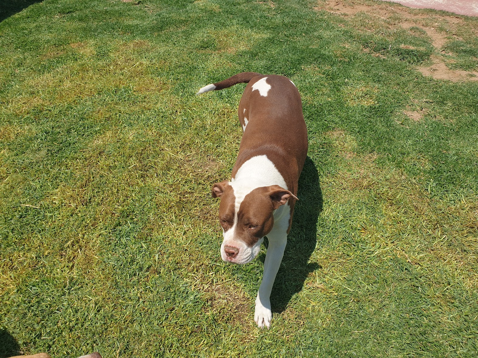 Northriding Vet Clinic