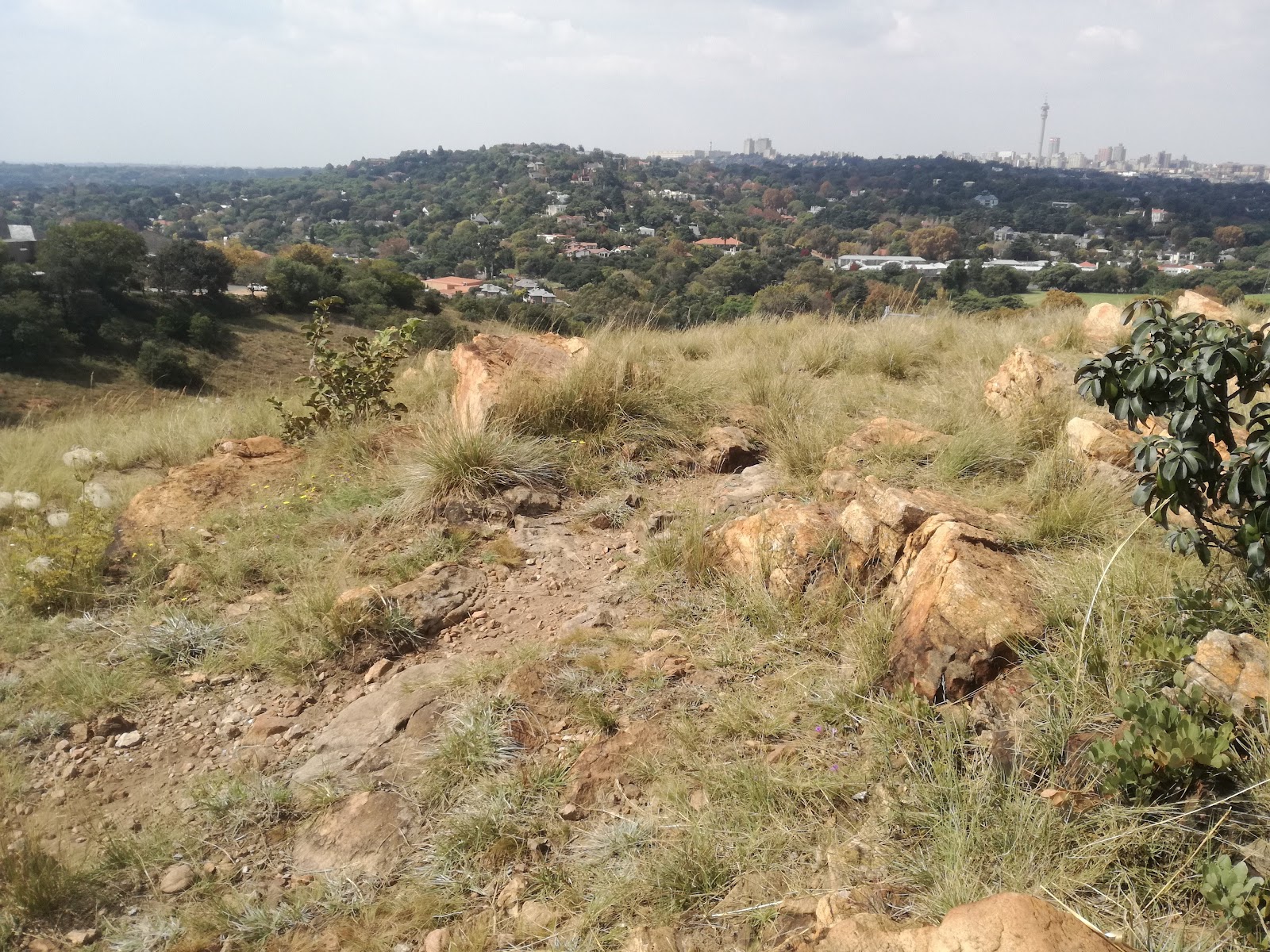 Melville Koppies EAST