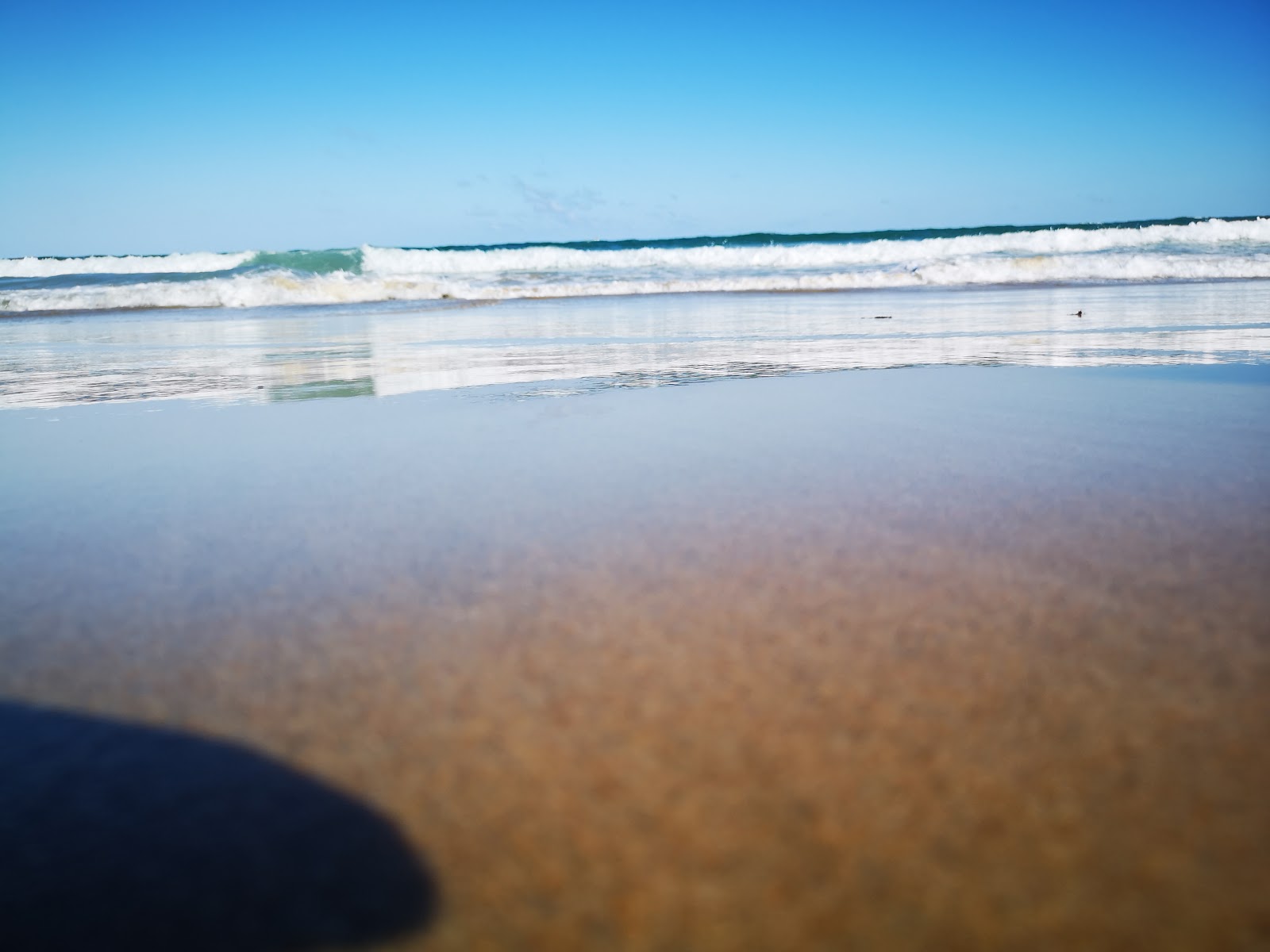 Ronin Erasmus Beach