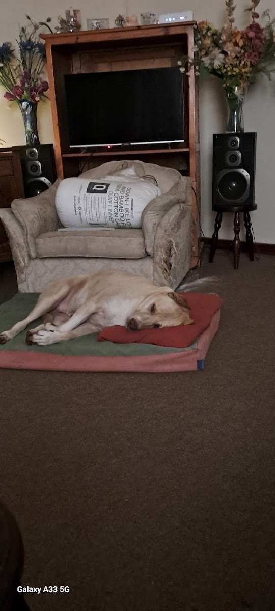Heathwylde Veterinary Clinic