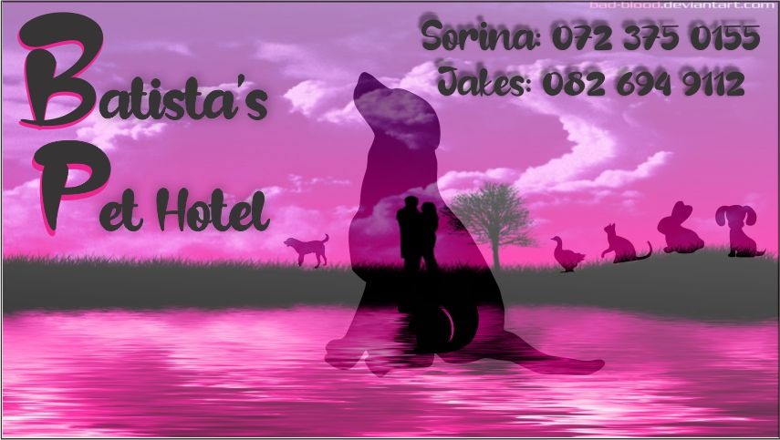 Batistas pet hotel