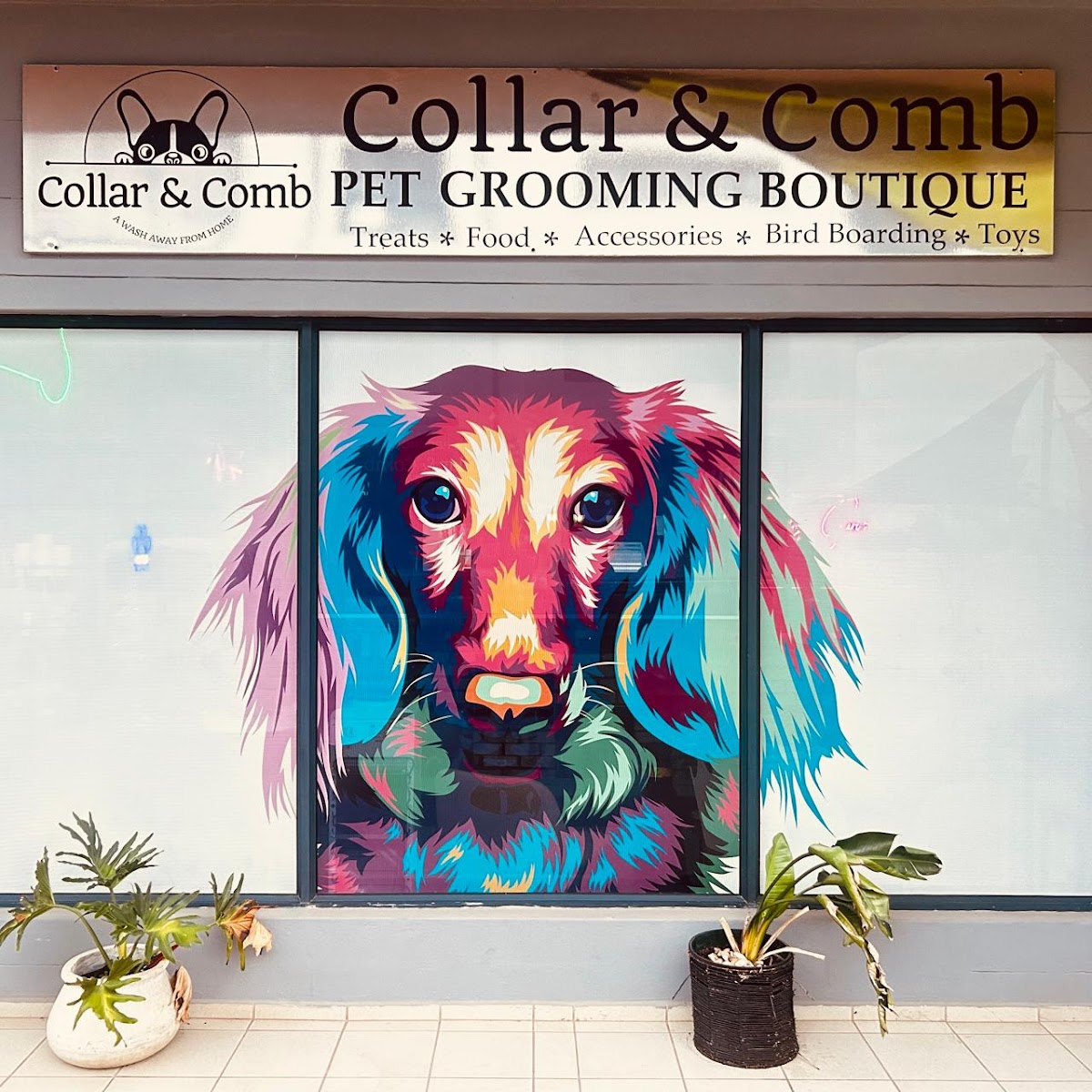 Collar & Comb Dog Grooming Parlour