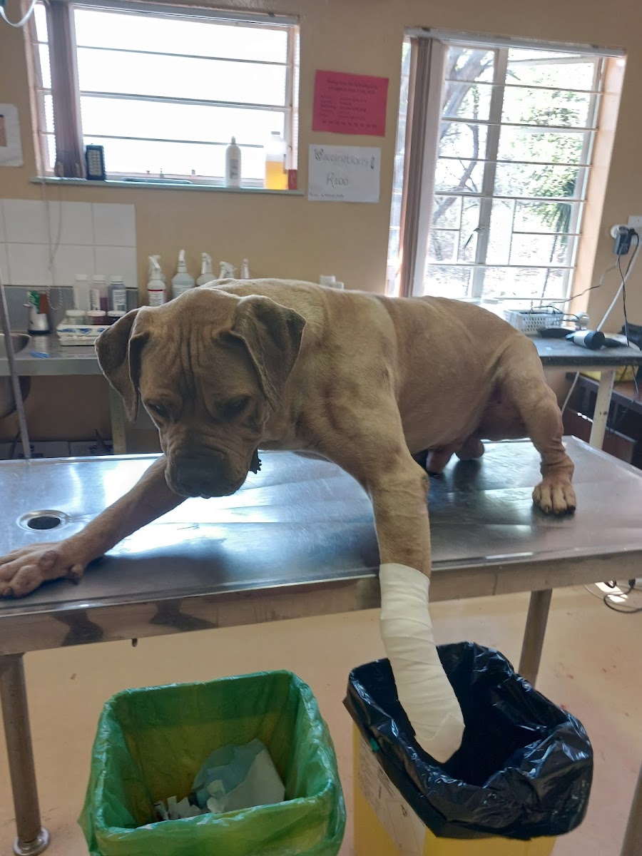 Mokopane State Veterinarian and Veterinary Laboratory