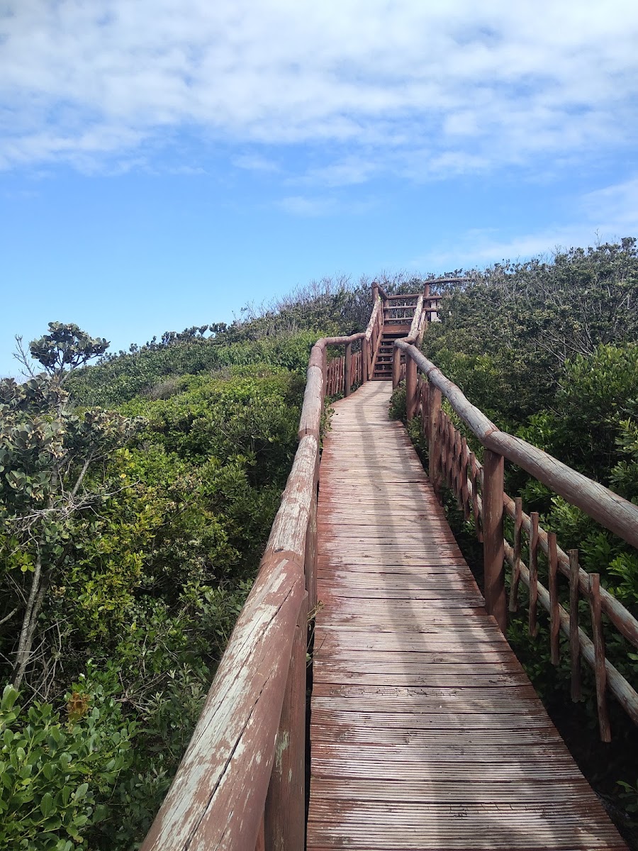 Nahoon Beach
