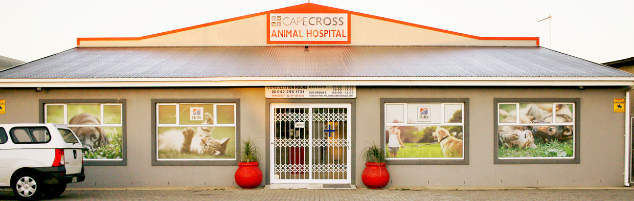 CapeCross Veterinary Services - Jeffreys Bay