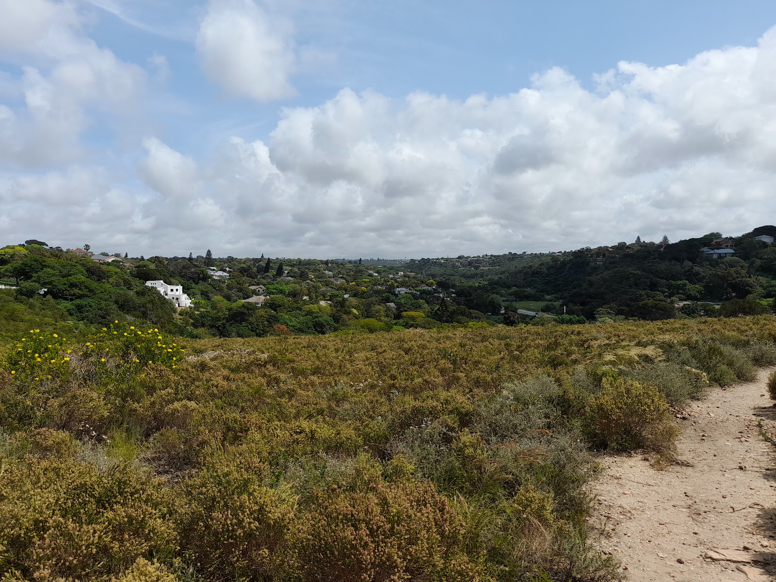 Wellington Park