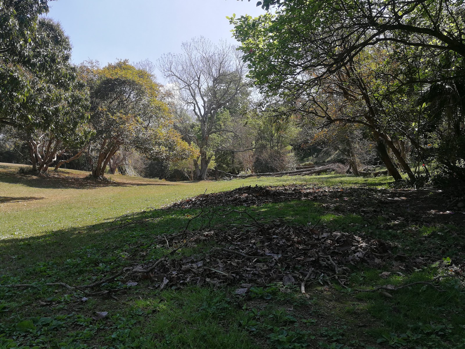 Wylie Park