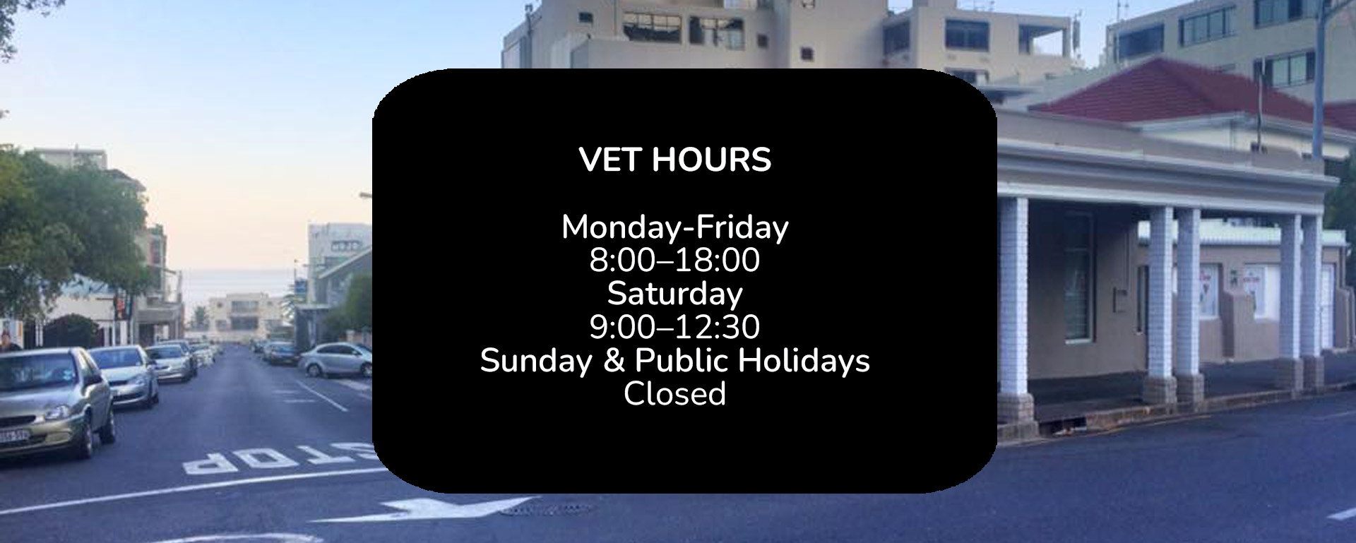 VetPoint