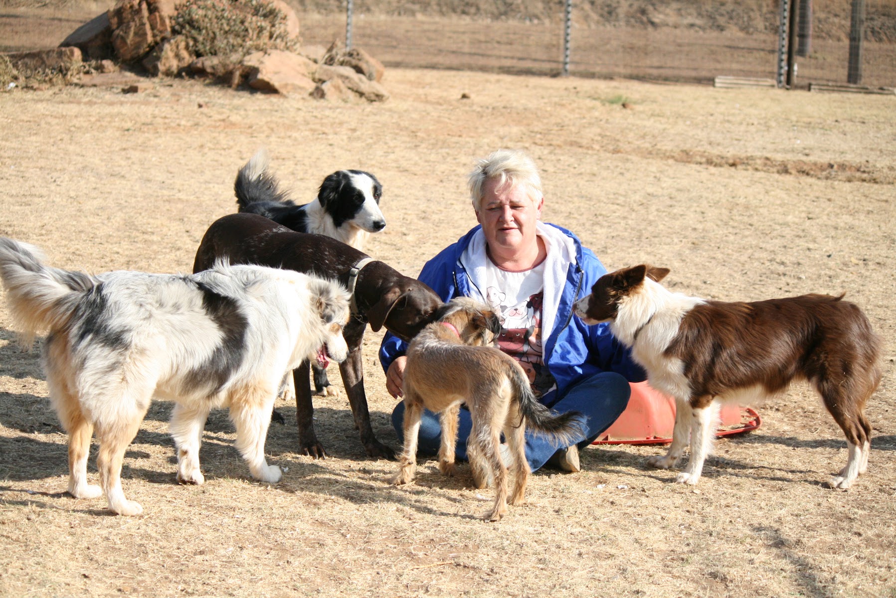 Centurion Bark Farm
