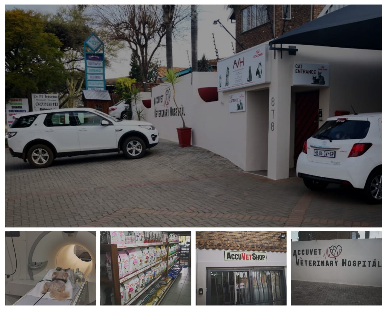 Accuvet Veterinary Hospital